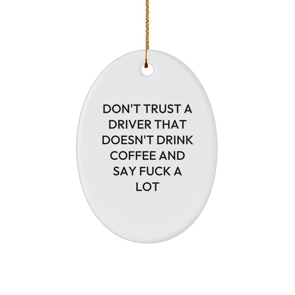 Funny Driver Gifts from Friends - Oval Ornament for Driver Lover's Christmas Unique - Image 1