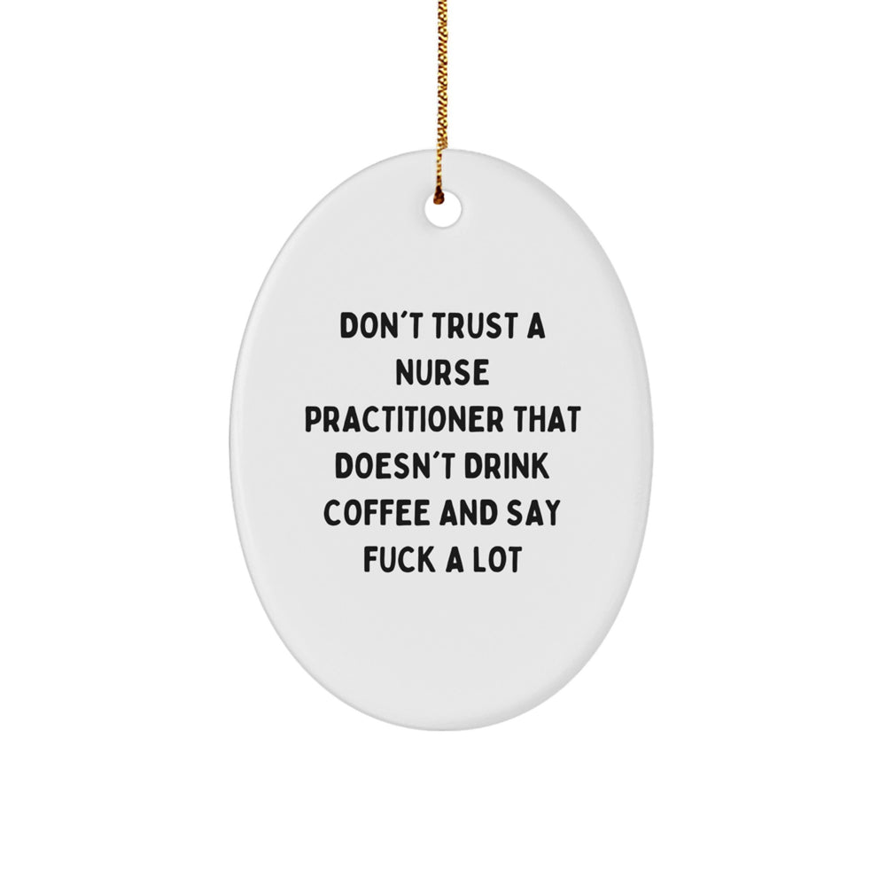 Funny Nurse Practitioner Oval Ornament Gift for Nurse Practitioner Friends and Family Christmas Unique Presents from Men Women Coworkers - Image 1