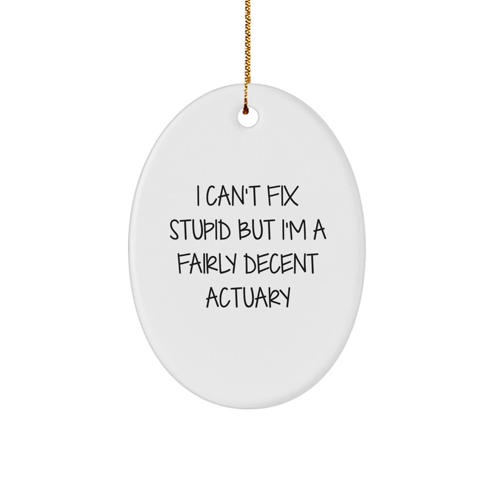 Funny Gifts from Actuary Coworkers to Men, Oval Ornament for Actuary Christmas Unique Gifts, I 'Can't Fix Stupid' Actuarial - Image 1