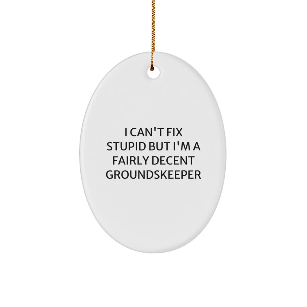 Funny groundskeeper Gifts from Friends, Christmas Unique Oval Ornament for groundskeeper, I Can't Fix Stupid groundskeeper Humor - Image 1