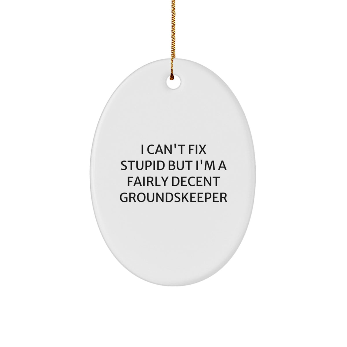 Funny groundskeeper Gifts from Friends, Christmas Unique Oval Ornament for groundskeeper, I Can't Fix Stupid groundskeeper Humor - Image 1