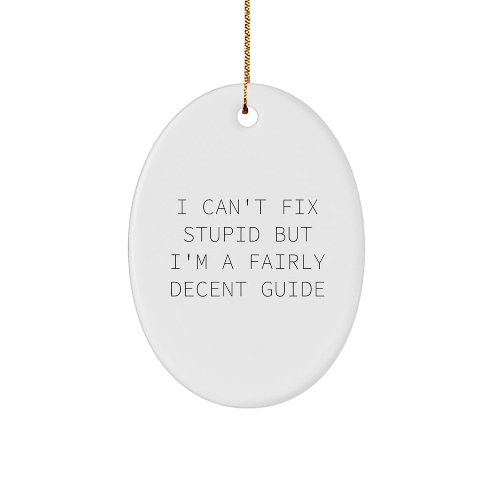 Funny Guide Gifts from Men to Friends - Oval Ornament, White, I Can't Fix Stupid But I'm A Fairly Decent Guide, Christmas Unique Gift for Guide Enthusiasts - Image 1
