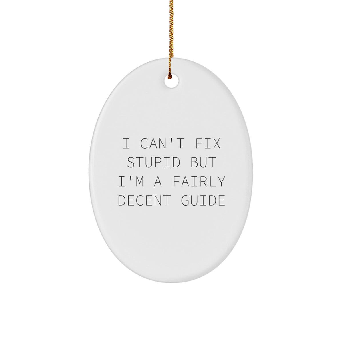 Funny Guide Gifts from Men to Friends - Oval Ornament, White, I Can't Fix Stupid But I'm A Fairly Decent Guide, Christmas Unique Gift for Guide Enthusiasts - Image 1