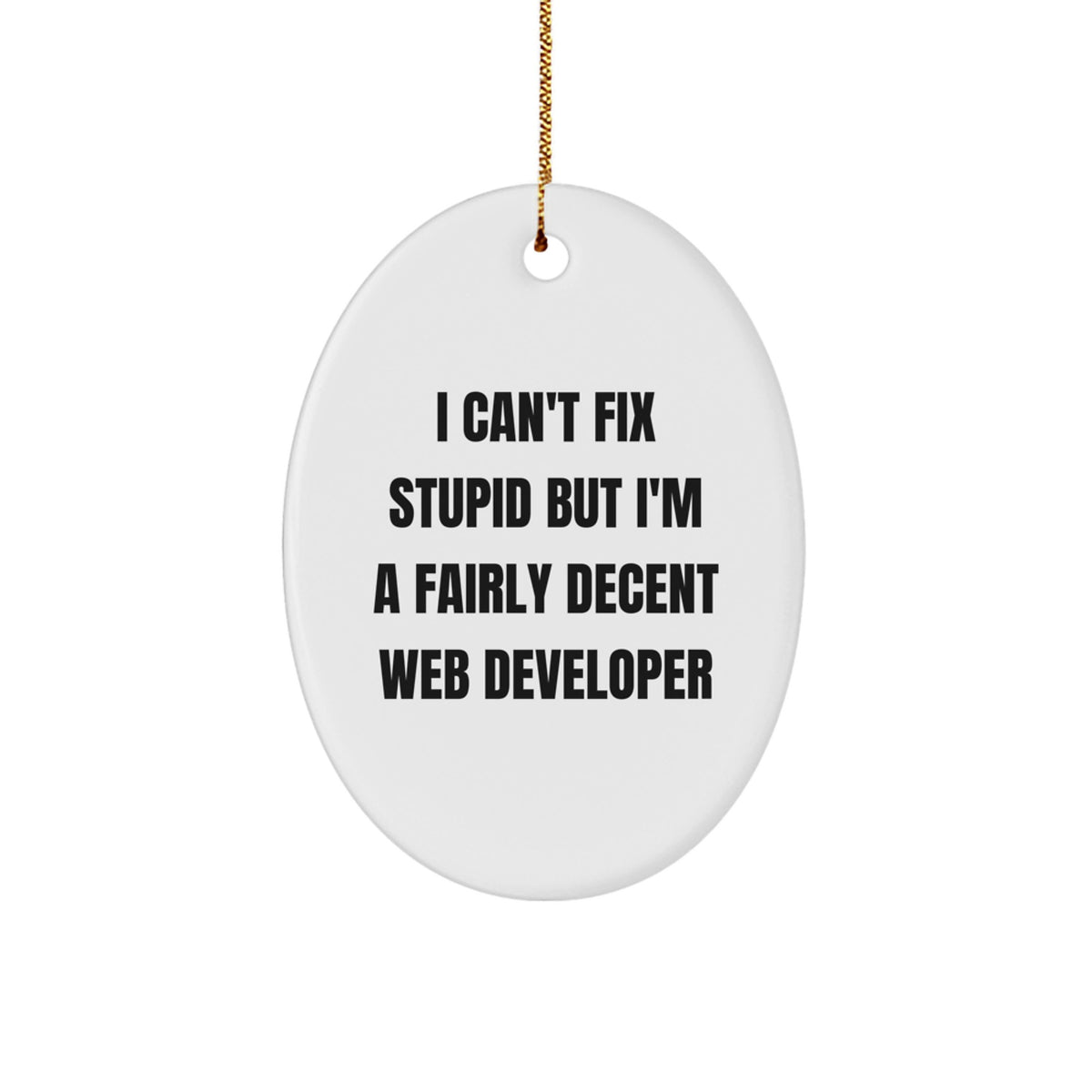 Funny Web Developer Gifts from Friends for Christmas Unique Oval Ornament - I Can't Fix Stupid - Image 1