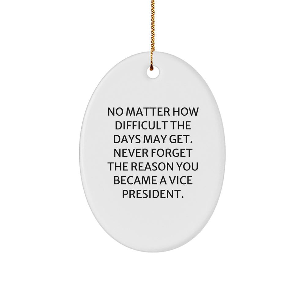 Funny Vice President Oval Ornament Gifts from Friends for Vice President Christmas Unique Gifts - Image 1