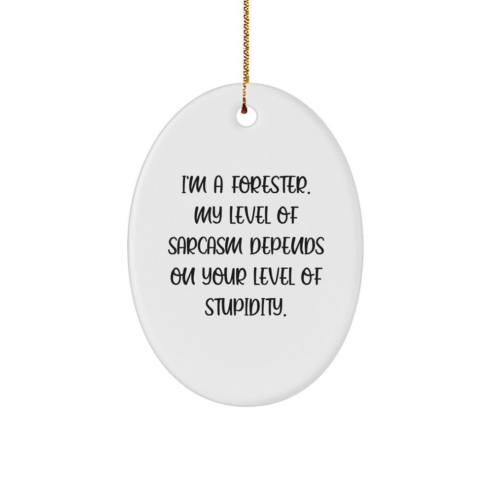 Funny Forester Gifts from Friends for Men Christmas Unique Oval Ornament, I'm A Forester Sarcasm Level Depends on Your Level of Stupidity - Image 1