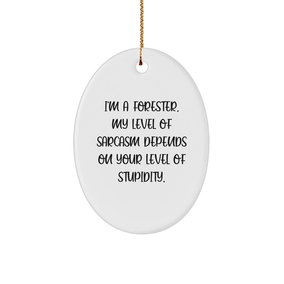 Funny Forester Gifts from Friends for Men Christmas Unique Oval Ornament, I'm A Forester Sarcasm Level Depends on Your Level of Stupidity - Image 1