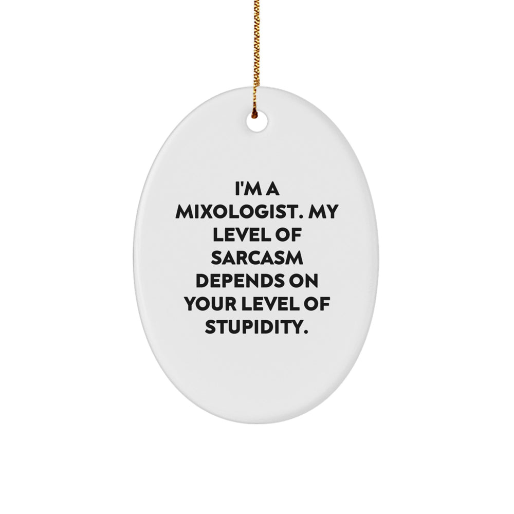Mixologist Oval Ornament Funny Quote Gifts for Men Women Friends Family from a Sarcastic Mixologist - Image 1