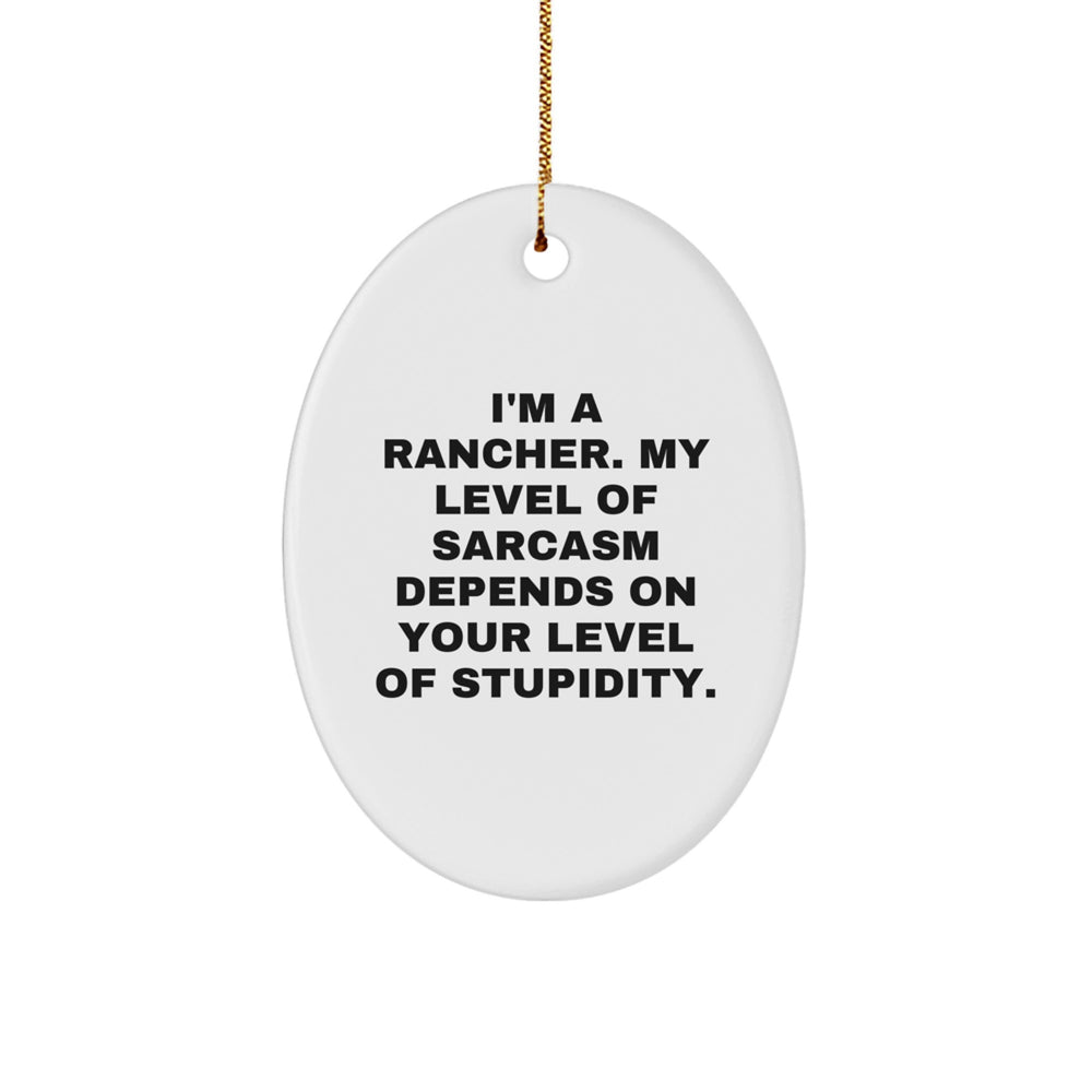 Funny Rancher Gifts from Friends and Family - Oval Ornament for Men and Women - I'm A Rancher - Unique Christmas Unique Gifts for Rancher - Oval Ornament Decoration - Image 1