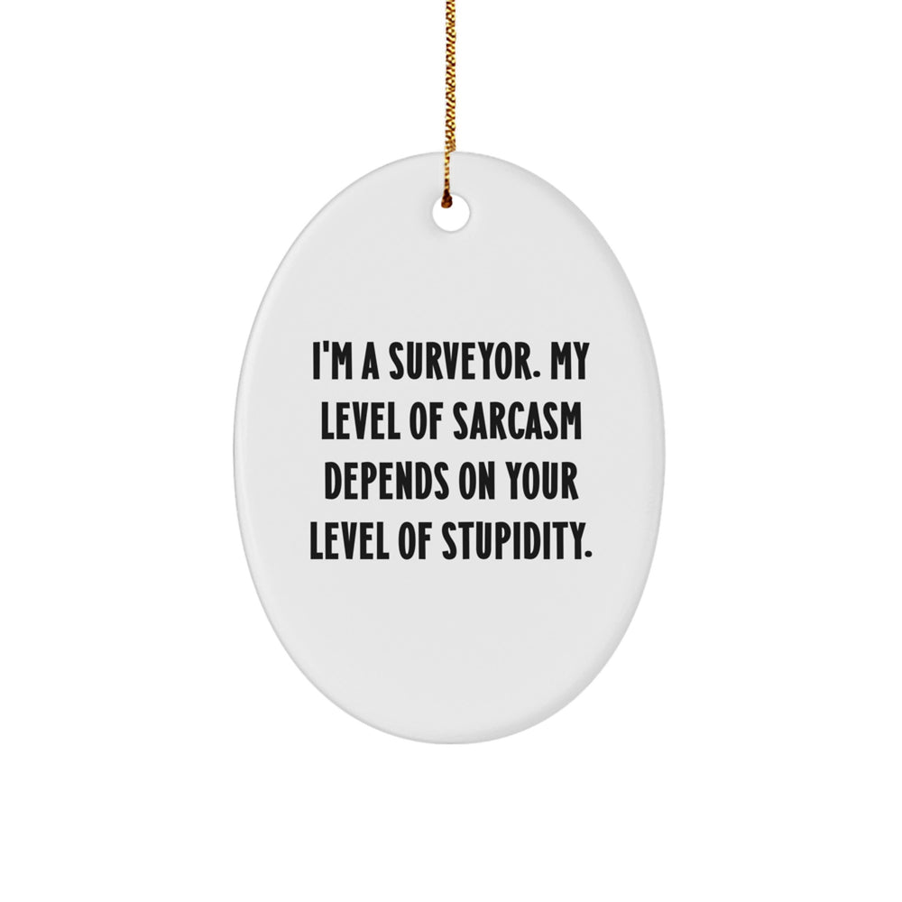 Funny Surveyor Gifts for Men - Oval Ornament with Sarcasm Quote, Gifts from Friends, Unique Christmas Unique Gifts for Surveyor, White Oval Shaped Decoration - Image 1