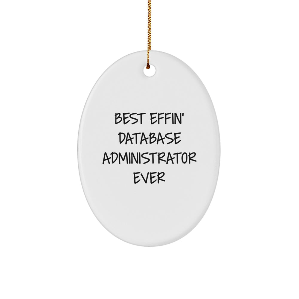 Funny Database Administrator Gifts from Friends, Best Effin' Database Administrator Ever Oval Ornament for Men, Unique Christmas Decorations - Image 1