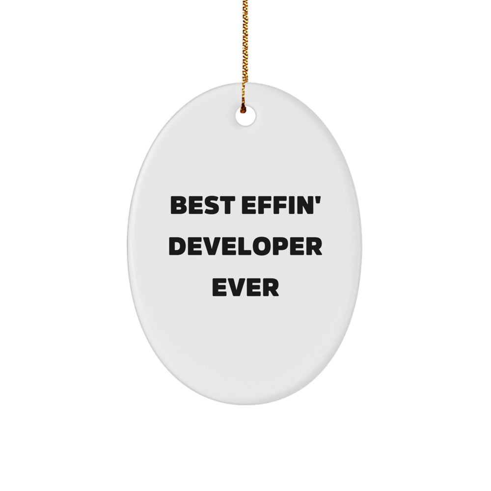Funny Developer Gifts from Friends - Oval Ornament, Best 'Effin' Developer Ever - Christmas Unique Decorations for Developers - Image 1