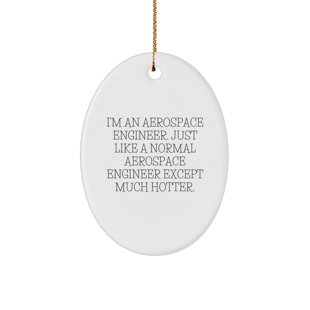Funny Aerospace Engineer Oval Ornament Gifts from Friends to Aerospace Engineer Men - Image 1
