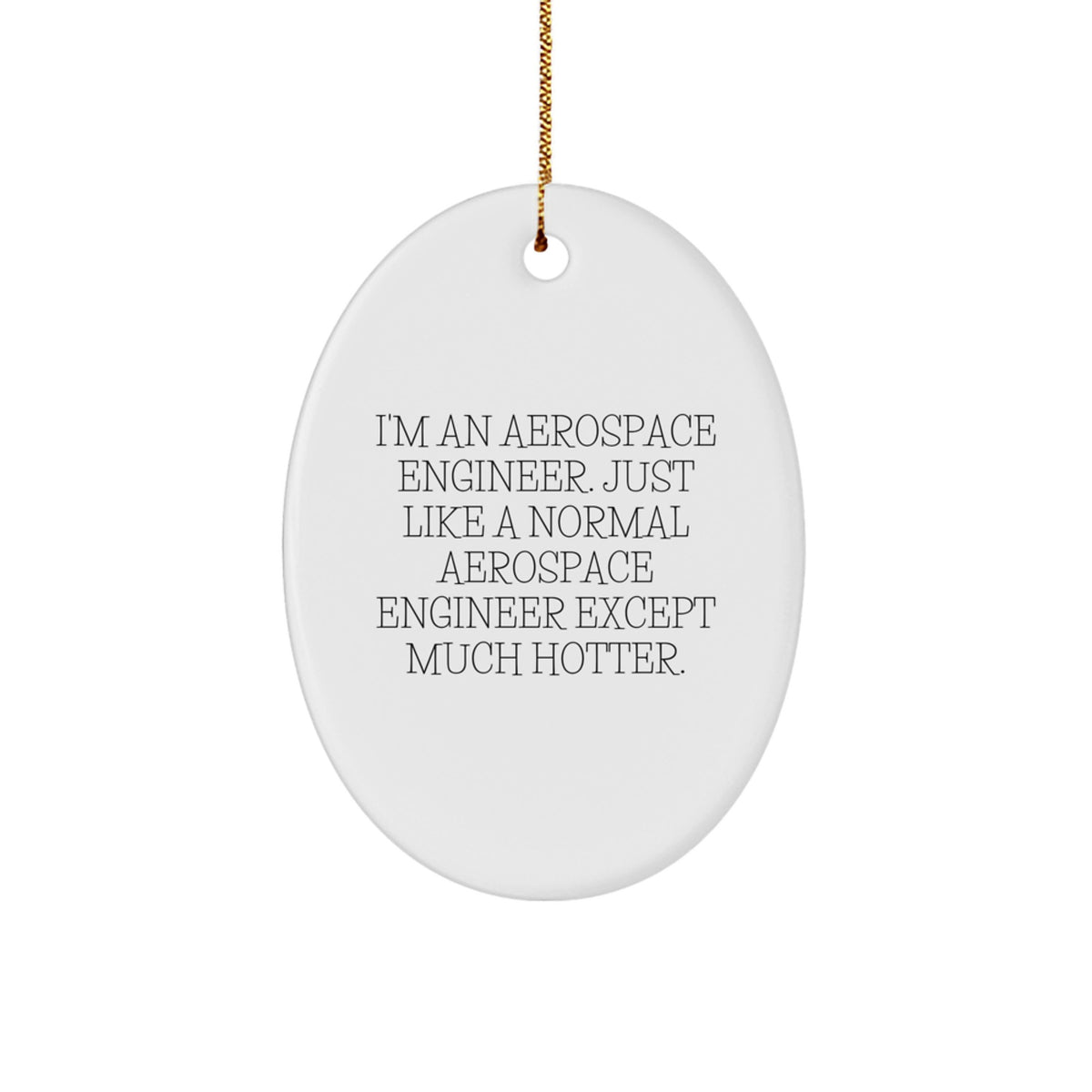 Funny Aerospace Engineer Oval Ornament Gifts from Friends to Aerospace Engineer Men - Image 1