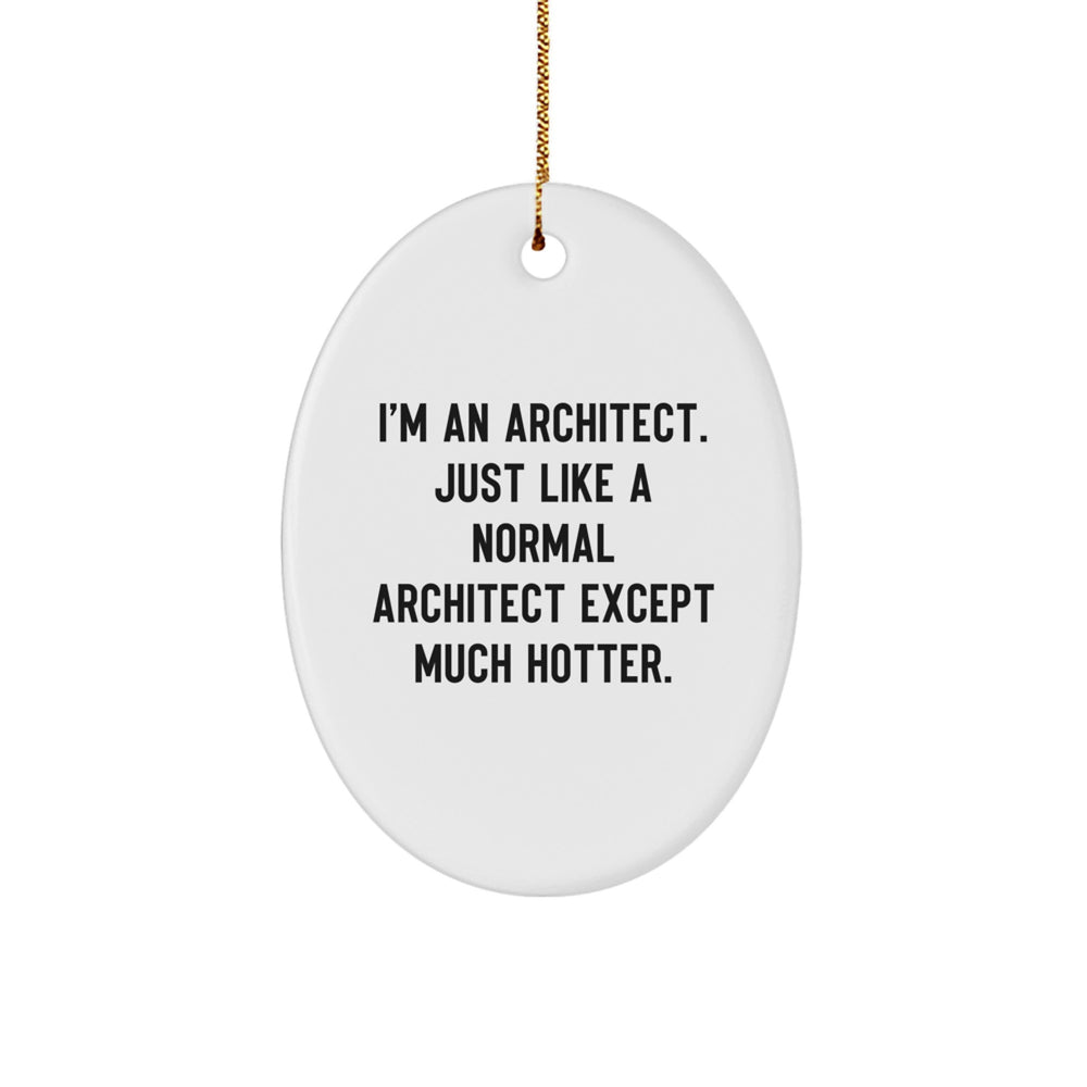 Funny Architect Oval Ornament Gifts for Men from Women Coworkers Family Friends - Image 1