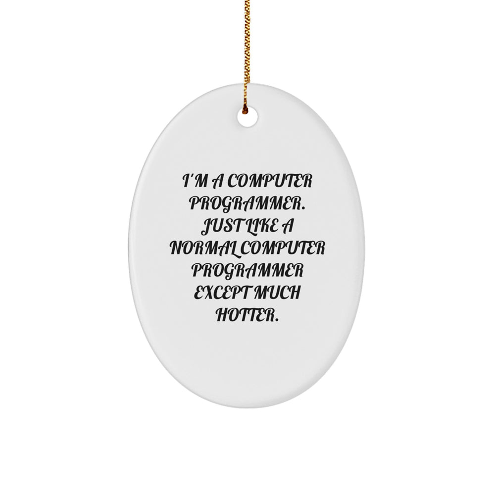 Fun Computer Programmer Gift for Men from Friends - I'm A Computer Programmer. Just Like A Normal Computer Programmer Except Much Hotter. Oval Ornament - Image 1