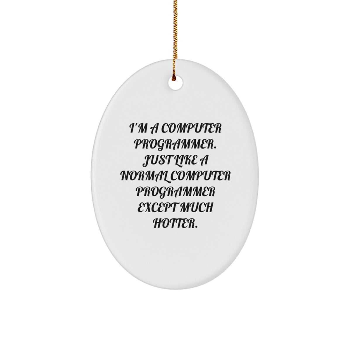 Fun Computer Programmer Gift for Men from Friends - I'm A Computer Programmer. Just Like A Normal Computer Programmer Except Much Hotter. Oval Ornament - Image 1
