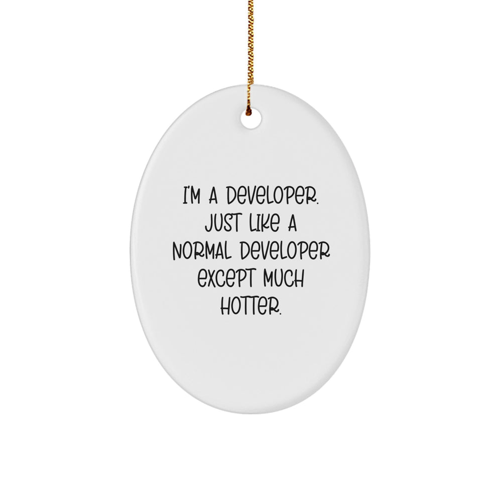 Developer Oval Ornament Gifts from Friends - I'm A Developer. Just Like A Normal Developer Except Much Hotter. - Christmas Unique Gifts for Men - Image 1