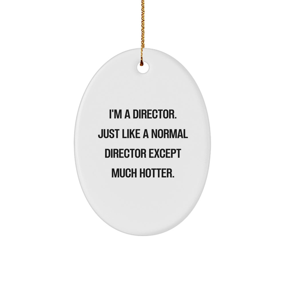 Funny Director Gifts, I'm A Director. Just Like A Normal Director Except Much Hotter. Oval Ornament for Christmas, Gifts from Friends to Director - Image 1