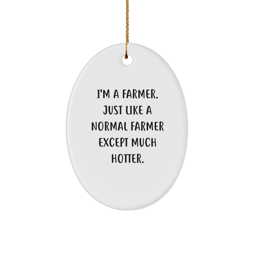 Funny Farmer Gifts for Men, Oval Ornament, 'I'm A Farmer. Just Like A Normal Farmer Except Much Hotter.' Christmas Unique Gifts from Friends - Image 1