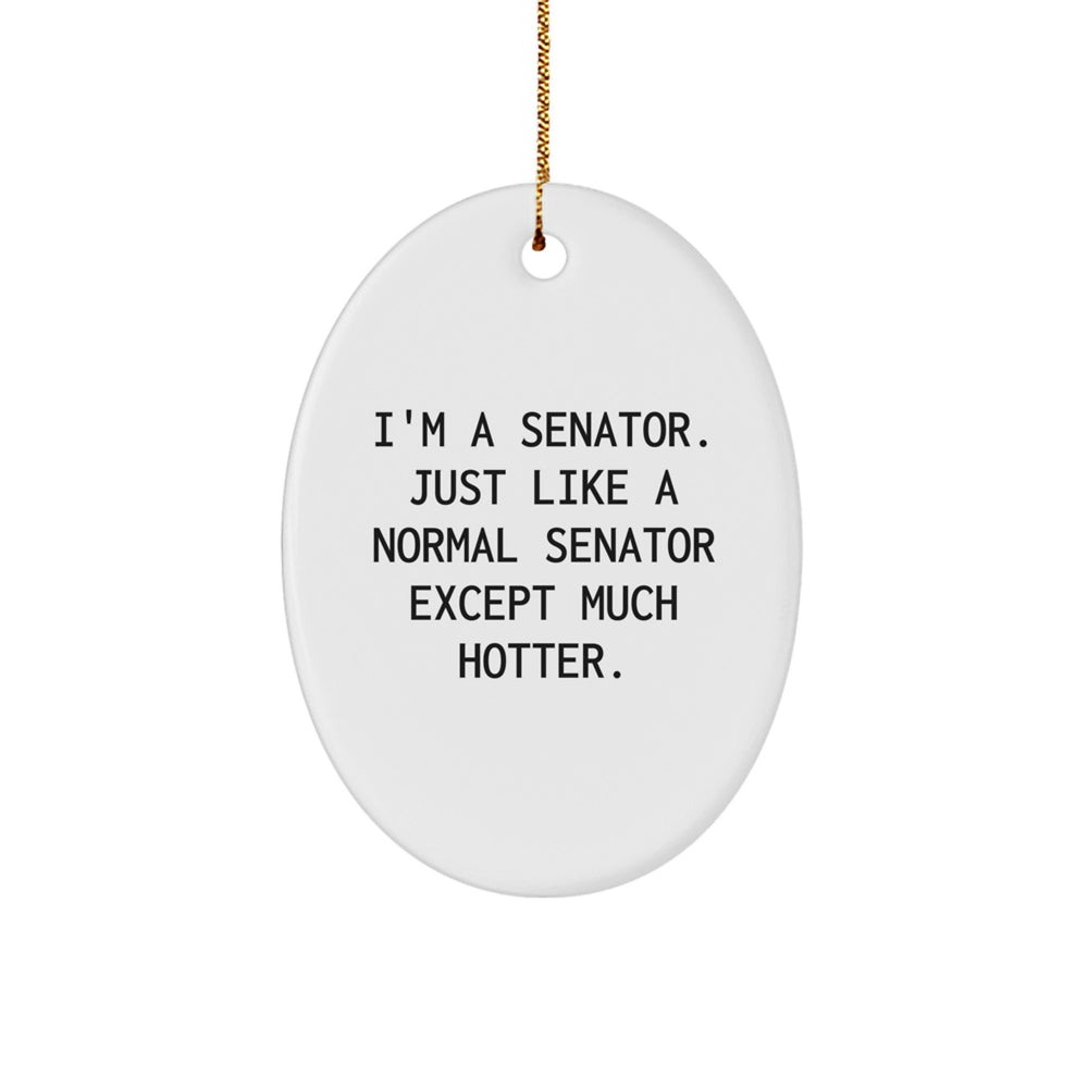 Senator Oval Ornament Gifts from Friends Christmas Unique Presents for Him - Image 1