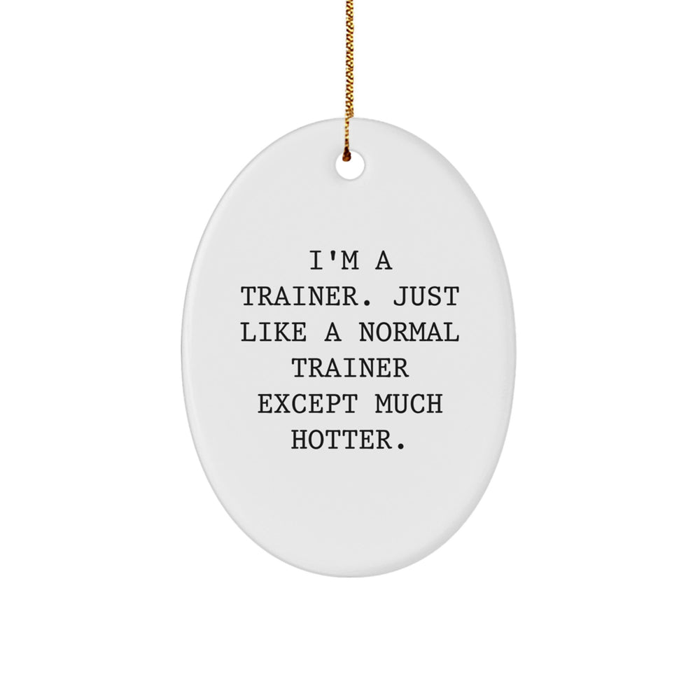 Funny Trainer Gifts for Christmas - Oval Ornament 'I'm A Trainer. Just Like A Normal Trainer Except Much Hotter.' from Friends, Family, Coworkers - Image 1