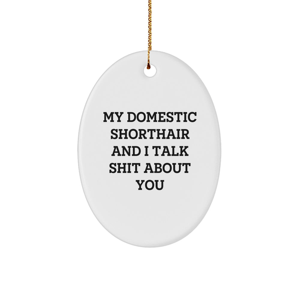 Domestic Shorthair Cat Lovers Gifts from Friends - Funny Oval Ornament for Men, Women, or Coworkers - 'My Domestic Shorthair And I Talk Shit About You' Quote - Image 1