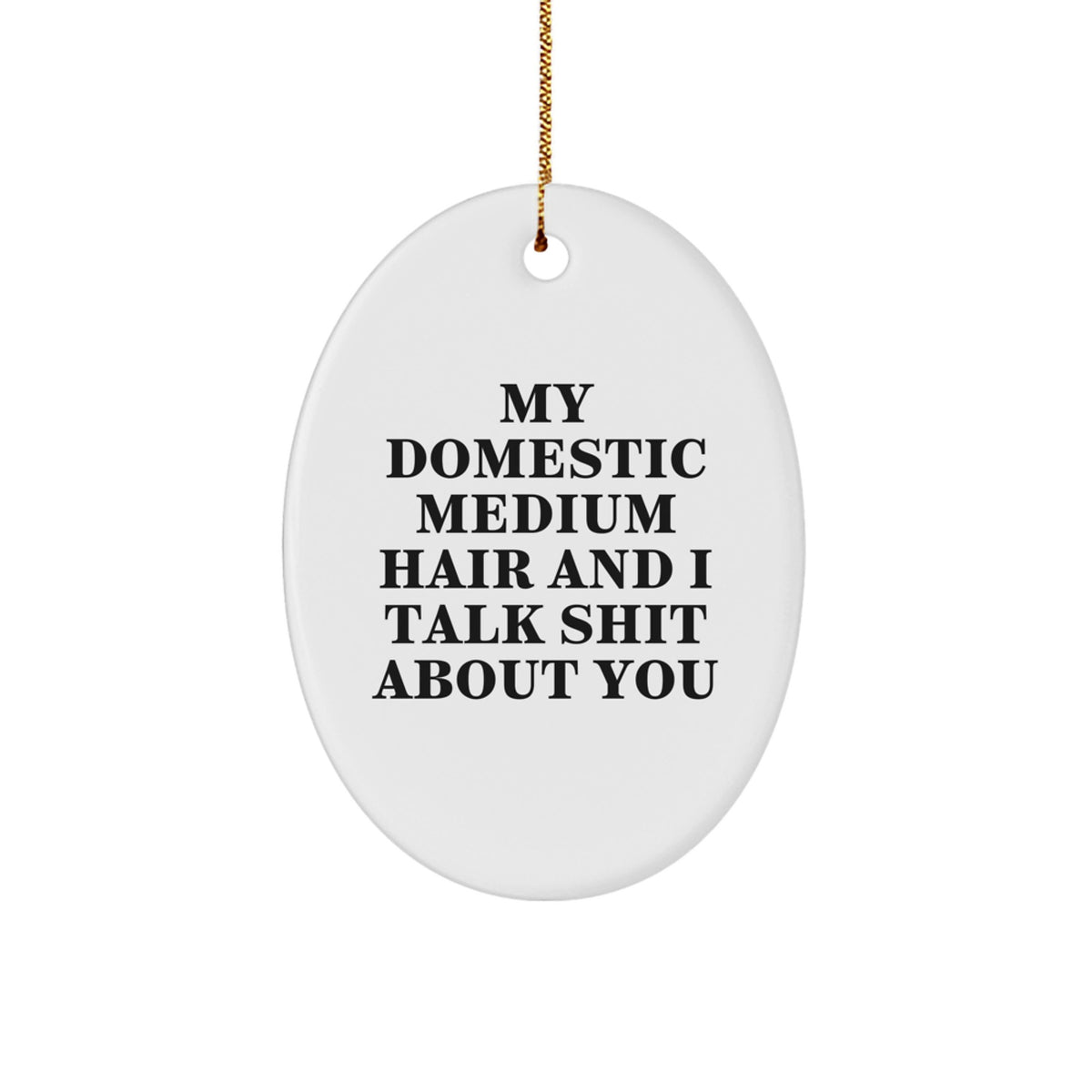 Funny Domestic Medium Hair Cat Oval Ornament Gifts from Friends to Family for Christmas Delight - Image 1