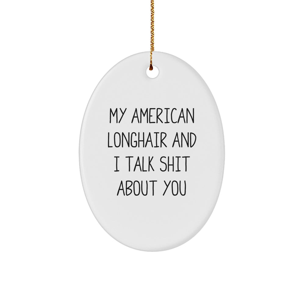 American Longhair Cat Lover's Funny Oval Ornament Gifts from Friends, Christmas Unique Presents - Image 1