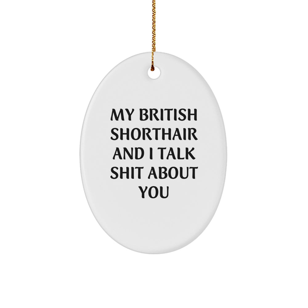 Funny British Shorthair Cat Gifts from Friends for Christmas Unique Oval Ornament - Image 1