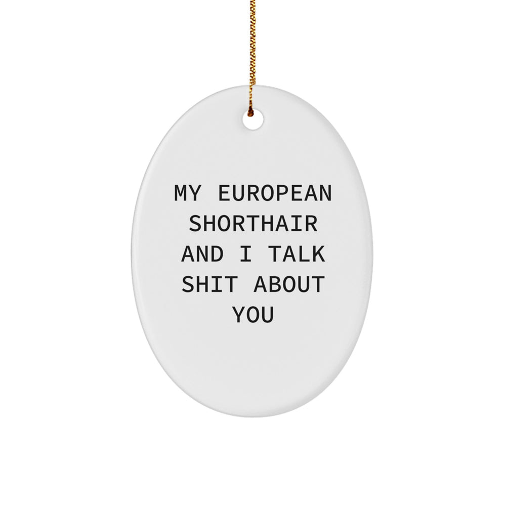 European Shorthair Cat Oval Ornament Funny Quote Gifts from Friends for Christmas - Image 1