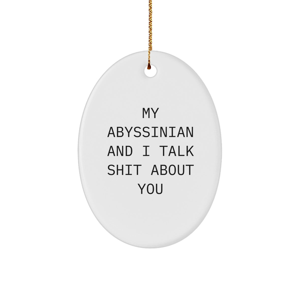 Abyssinian Cat Lovers' Christmas Unique Gift, Funny Quote Oval Ornament, Gifts from Family for Friends, Unique Christmas Unique Gifts for Her - Image 1