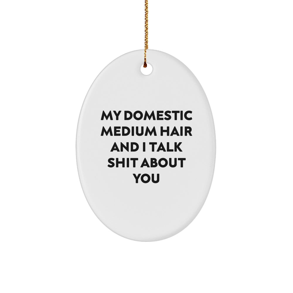 Funny Domestic Medium Hair Oval Ornament Gifts from Friends for Christmas - 'My Domestic Medium Hair And I Talk Shit About You' Quote - Image 1