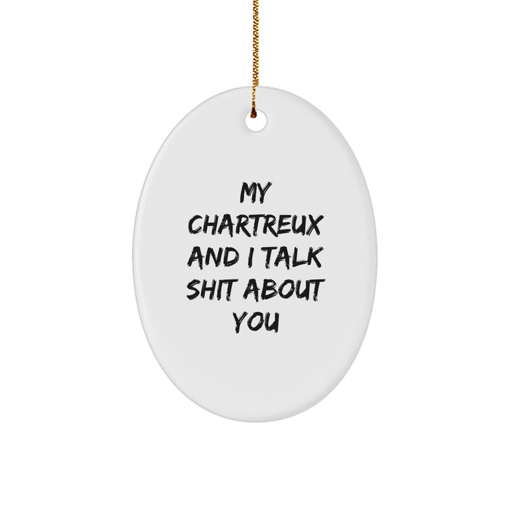 Funny Chartreux Cat Gifts from Friends, Oval Ornament for Women, Men, Family, Funny My Chartreux And I Talk Shit About You Quote, Christmas Unique Gifts - Image 1
