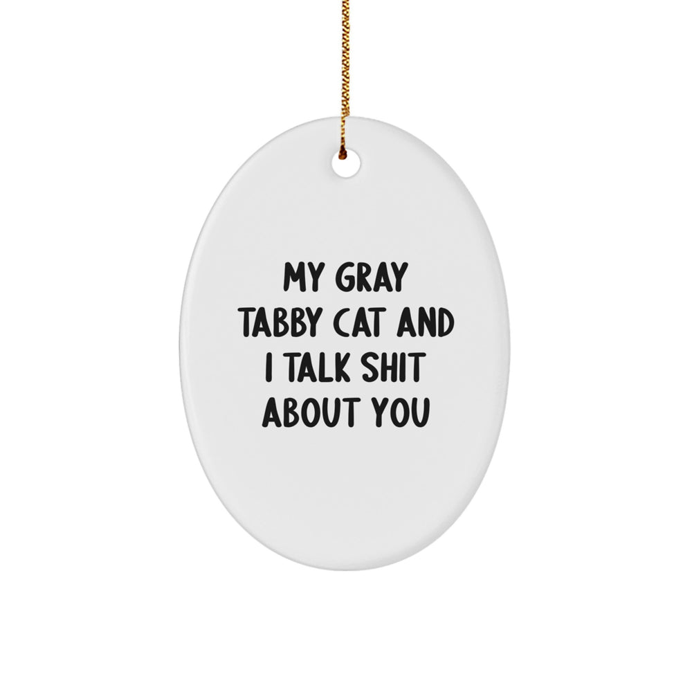 Funny Gray Tabby Cat Oval Ornament Gifts from Friends for Gray Tabby Cat Lovers at Christmas - 'My Gray Tabby Cat And I Talk Shit About You' Quote - Image 1