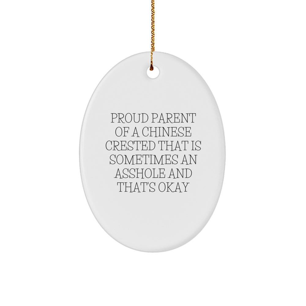 Funny Chinese Crested Dog Gifts for Men or Women - Oval Ornament with Proud Quote, Christmas Unique Gifts from Friends or Family - Image 1