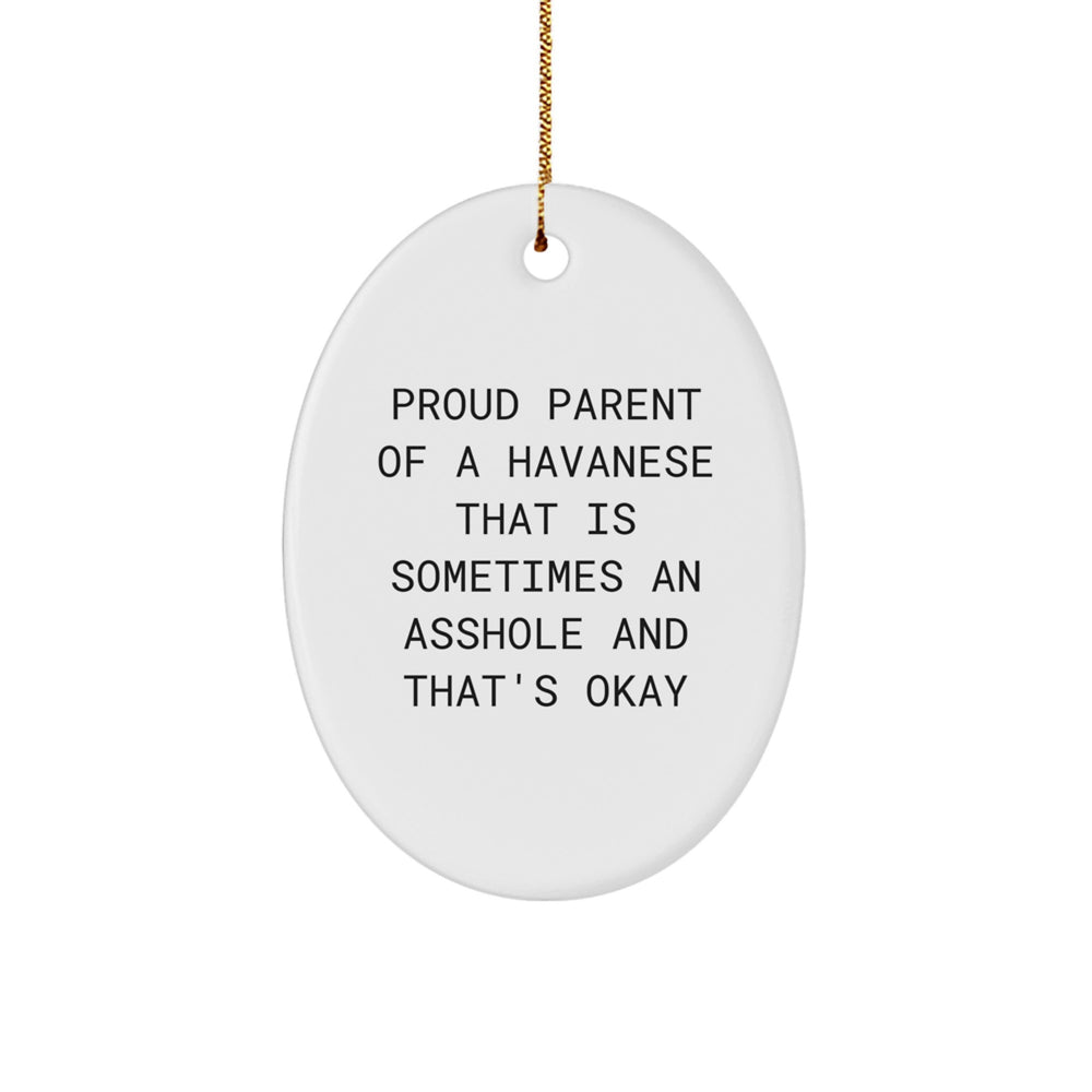 Funny Havanese Dog Gifts for Men, Oval Ornament with Proud Parent Quote, Christmas Unique Gifts from Family - Image 1