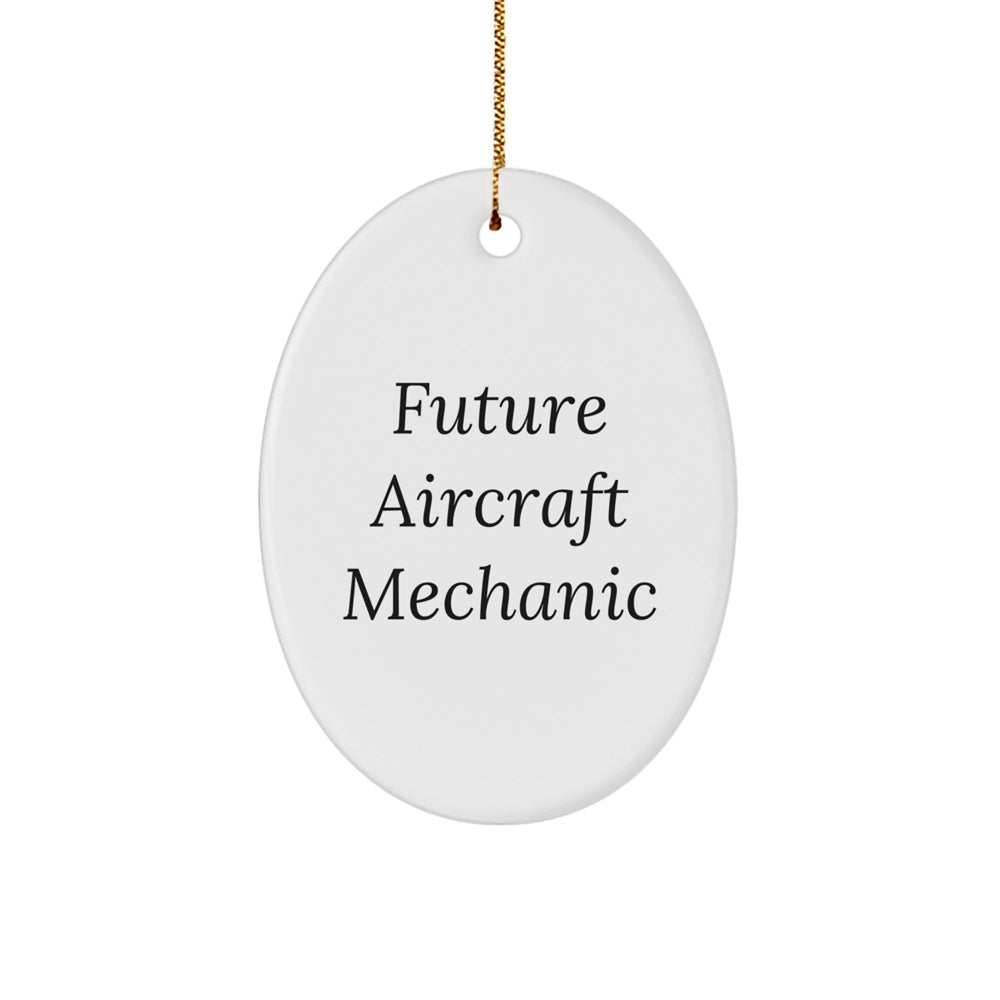 Funny Future Aircraft Mechanic Oval Ornament, Gifts from Friends to Family, Unique Christmas Unique Gifts - Image 1