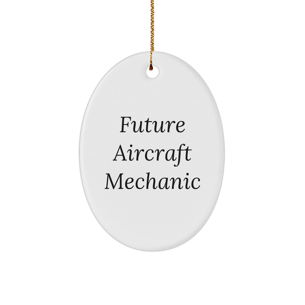 Funny Future Aircraft Mechanic Oval Ornament, Gifts from Friends to Family, Unique Christmas Unique Gifts - Image 1