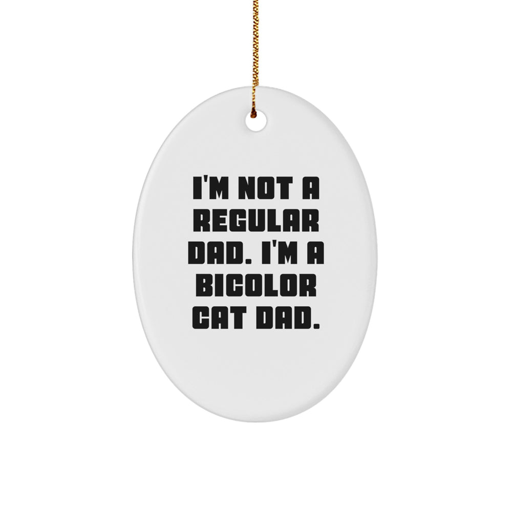 Funny Bicolor Cat Dad Oval Ornament Gifts from Men to Family for Christmas - Image 1