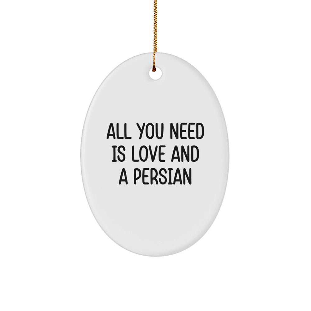 Funny Quote Persian Cat Oval Ornament Gifts from Family for Friends, Christmas Unique Gifts - Image 1