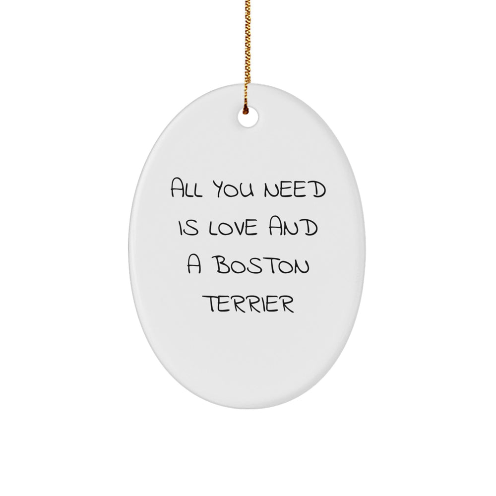 Funny Boston Terrier Dog Oval Ornament Gifts from Friends and Family for Christmas - Image 1