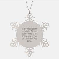 Load image into Gallery viewer, Funny Microbiologist Gifts for Christmas - Snowflake Ornament from Friends, Coworkers, Family - Unique Stainless Steel Decorations - Image 1
