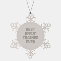 Load image into Gallery viewer, Funny Trainer Gifts from Friends for Men Funny Trainer Quote Snowflake Ornaments Christmas Unique Gifts - Image 1