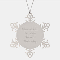 Load image into Gallery viewer, Funny Urban Planner Gifts from Friends for Christmas Unique Ornaments Snowflake Stainless Steel - Image 1