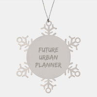 Load image into Gallery viewer, Inspiring Urban Planner Christmas Unique Gifts from Friends, Unique Snowflake Ornament for Future Planner - Image 1
