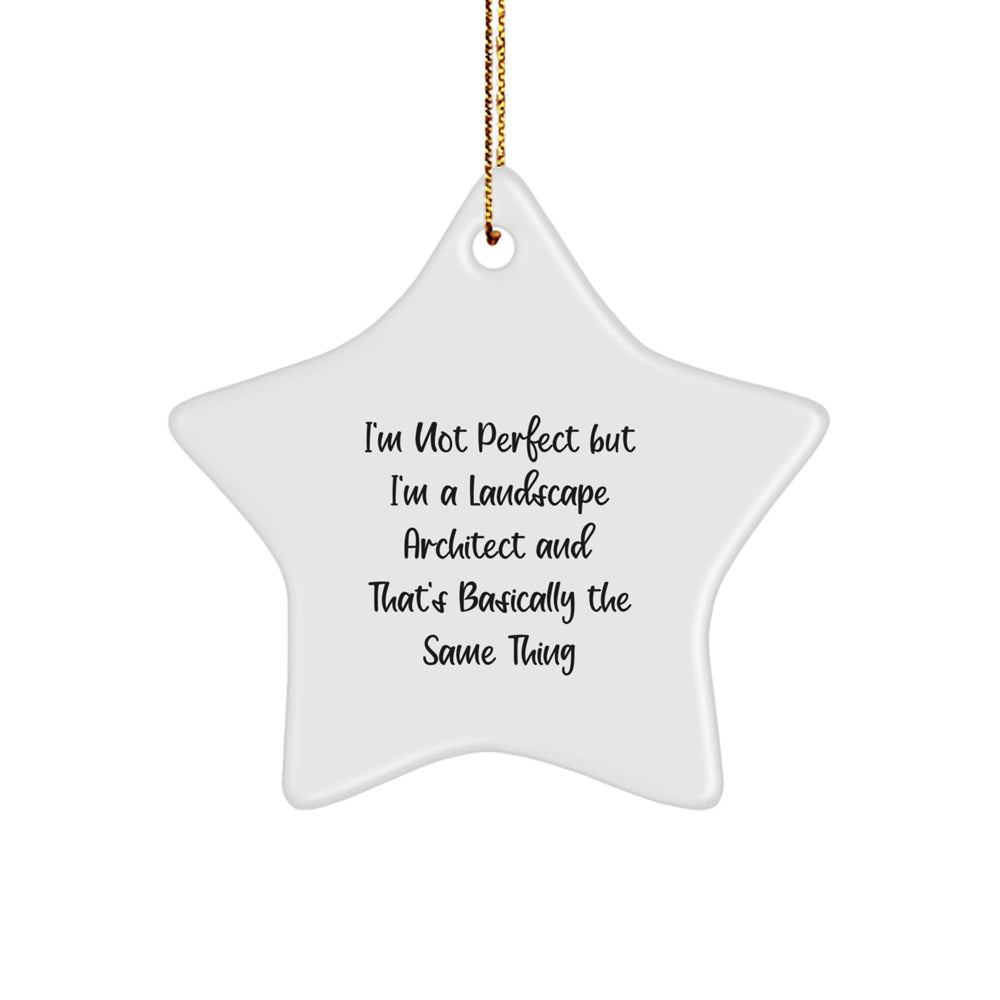 Landscape Architect Gifts from Friends, Christmas Unique Star Ornament for Him, Her, or Coworkers, 'I'm Not Perfect' - Image 1