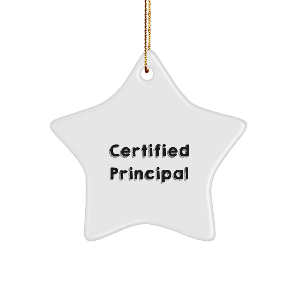 Funny Principal Gifts, 'You're a Star' Star Ornament, Christmas Unique Gifts for Men, Women, Family, Friends, Coworkers - Image 1