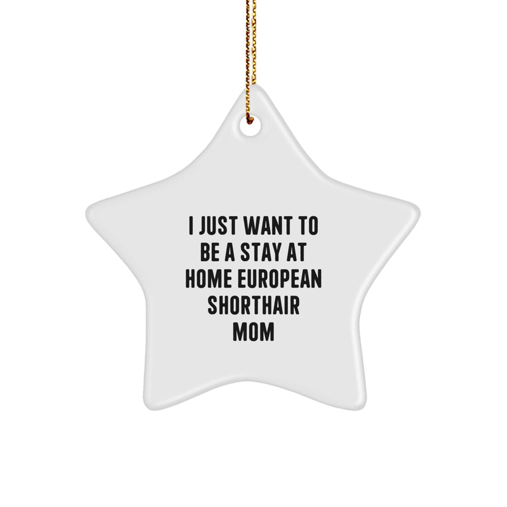 European Shorthair Cat Mom's Christmas Unique Gift from Friends, 'I Just Want To Be A Stay At Home Mom' Star Ornament for Her - Image 1