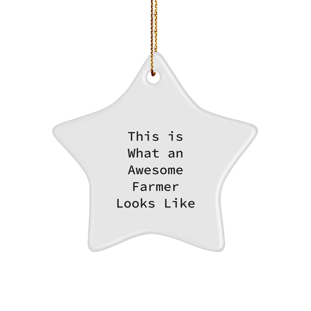 Farmer Star Ornament Gifts from Friends, This 'Awesome Farmer' Looks Like, White, 3.25'' Tall, Christmas Unique - Image 1